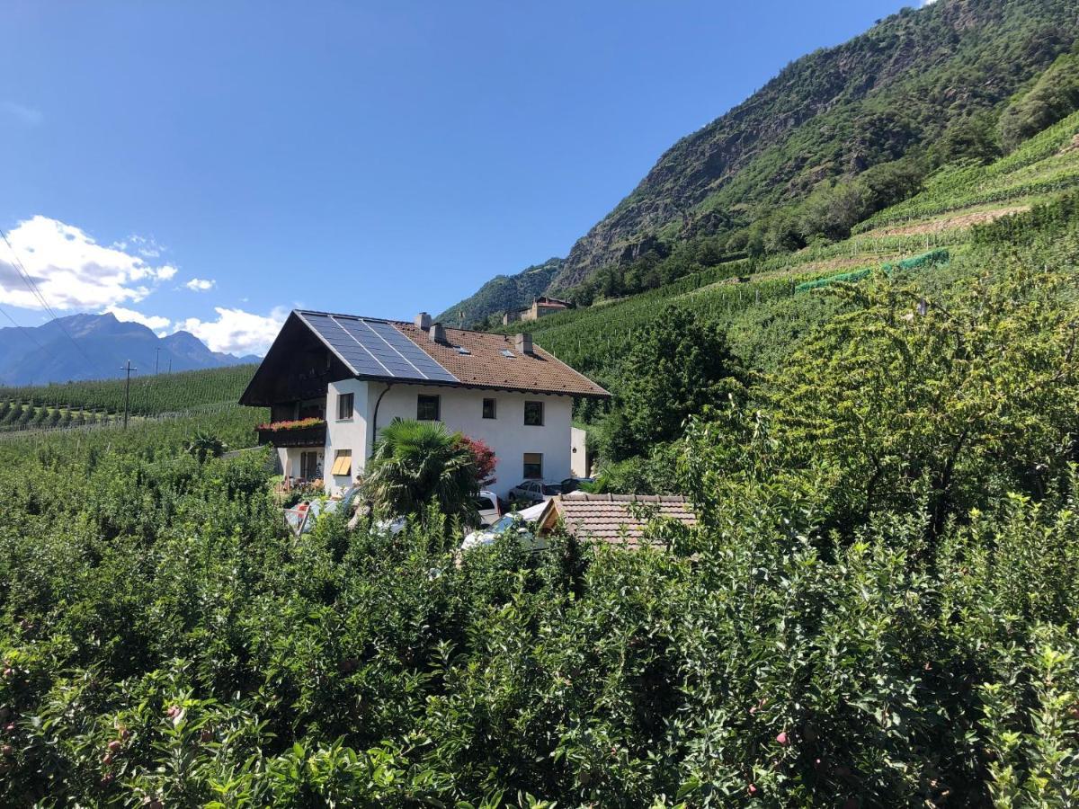 Pixnerhof - Urlaub Am Biohof Apartment Castelbello Exterior photo
